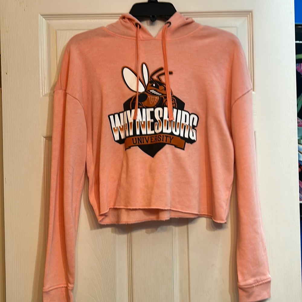 Waynesburg University Pink Crop Top Hoodie
